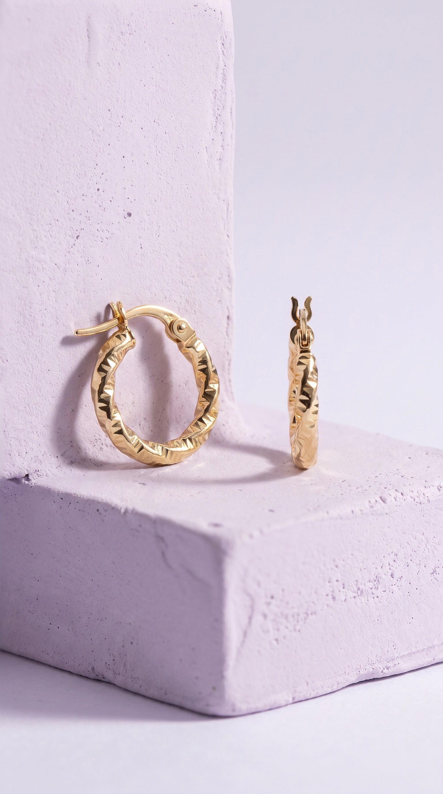 18K Yellow Gold Circle Hoop Earrings