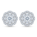 Diamond White Gold Stud Earrings