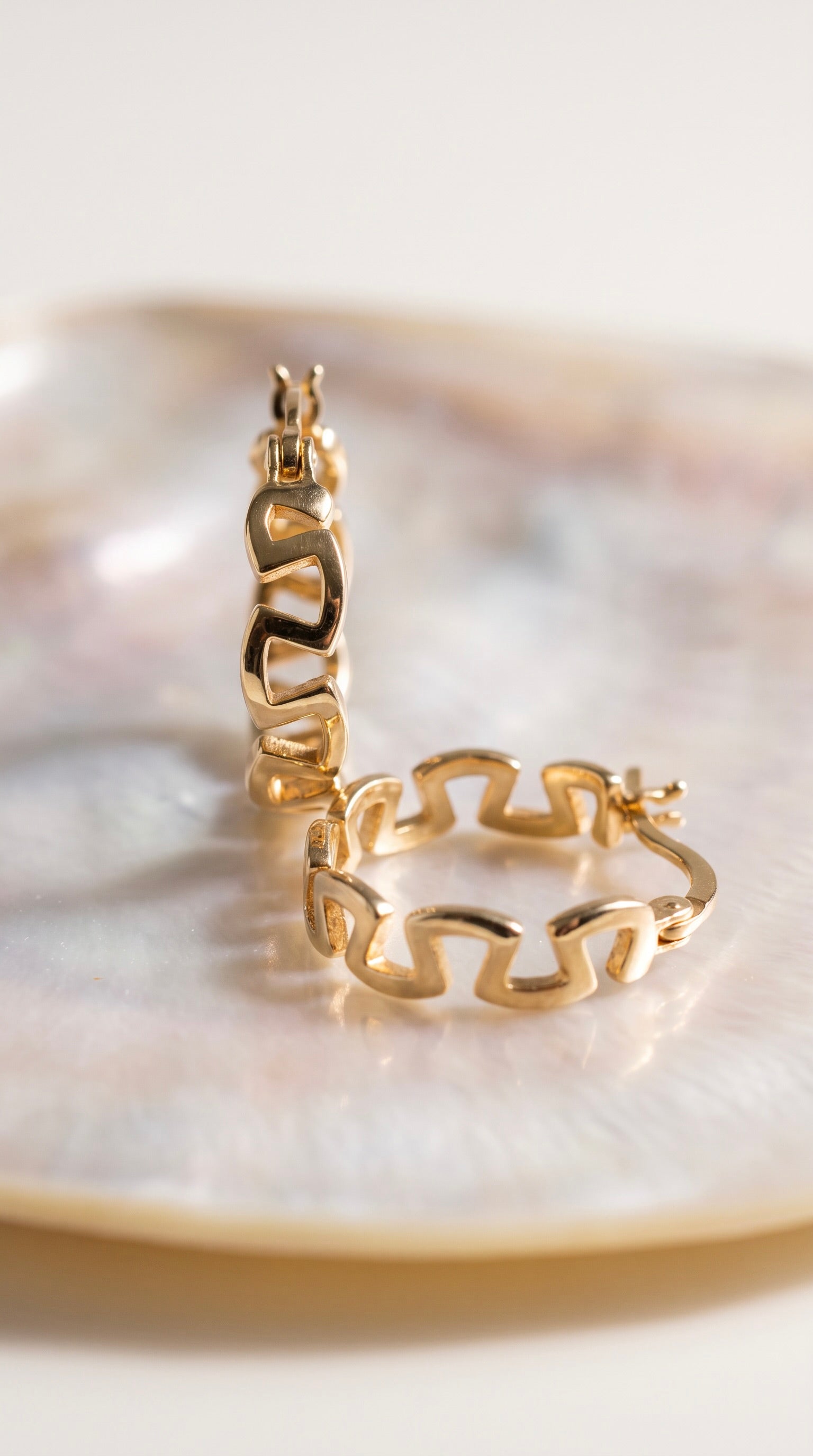 18K Yellow Gold Circle Hoop Earrings